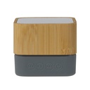 Speaker bamboo square 3W